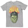 Men's Marvel Hulk Face Graphic Tee -Haggar Sales 4245462