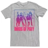 Licensed Character Men's Birds Of Prey Character Outline Poster Tee -Haggar Sales 4436582